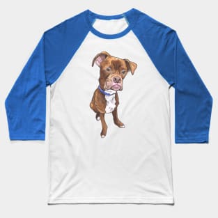 Best Boxer Baseball T-Shirt